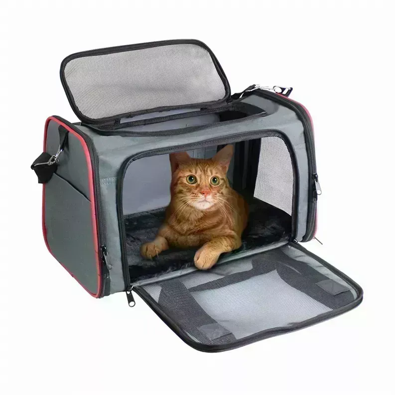 Pet Carrier for Small Pets - Airline Approved