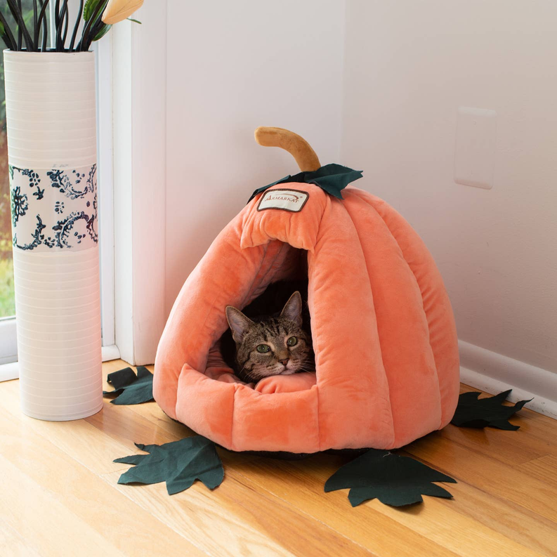 Pumpkin-Shaped Pet Bed