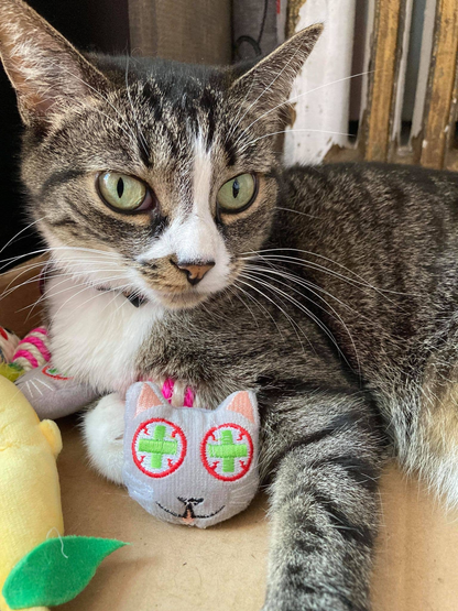 Smokey's Stash Catnip Toys and Sisal Mouse