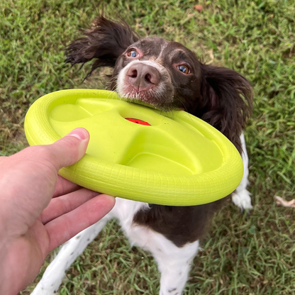 Harley Flyer Frisbee