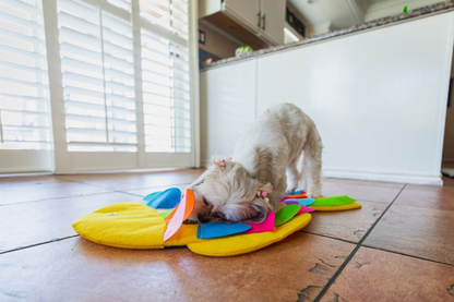 Snuffle Mat Puzzle Pad