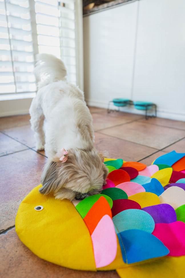 Snuffle Mat Puzzle Pad